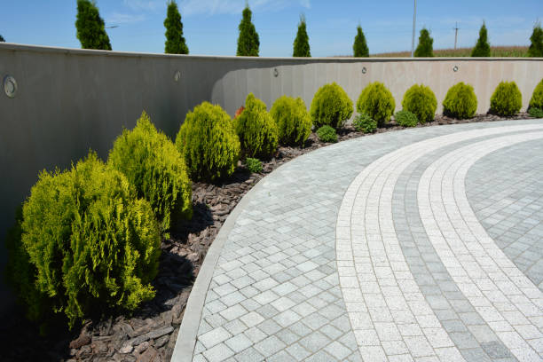 Best Interlocking Driveway Pavers  in Lakeview, MI