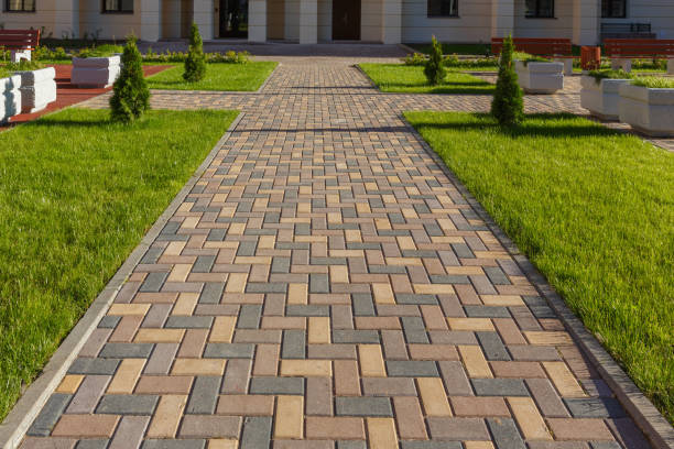 Reasons to Select Us for Your Driveway Paving Requirements in Lakeview, MI
